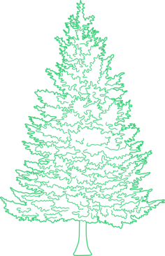 Plants Conifers Contour Svg Vector, Free Vectors File